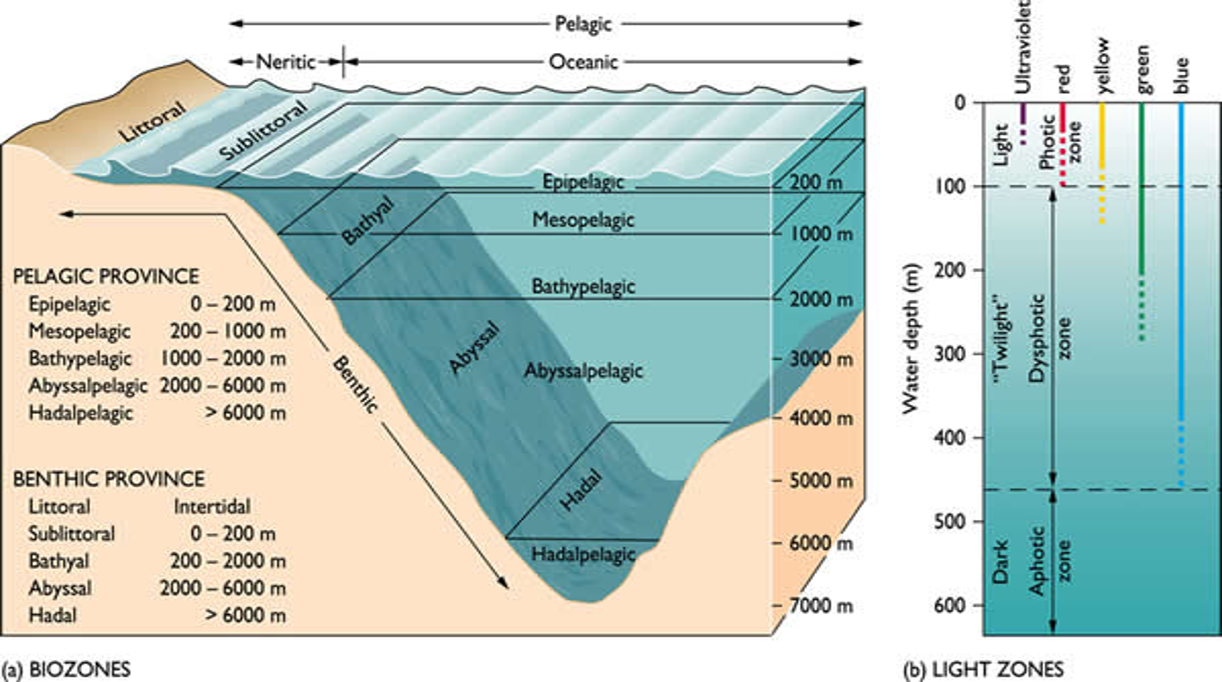 personal.tcu.edu - /mdemarest/MarineZones/data/