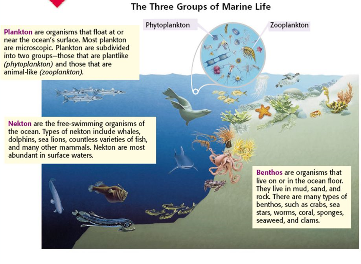 personal.tcu.edu - /mdemarest/MarineZones/data/